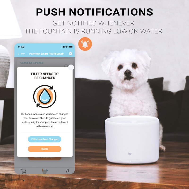Instachew Purrflow Smart Pet Water Fountain, App Enabled Automatic